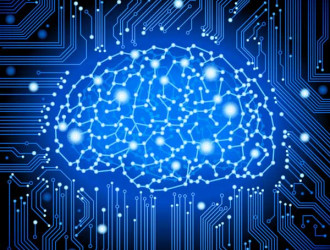 Mind 18 Circuit Brain