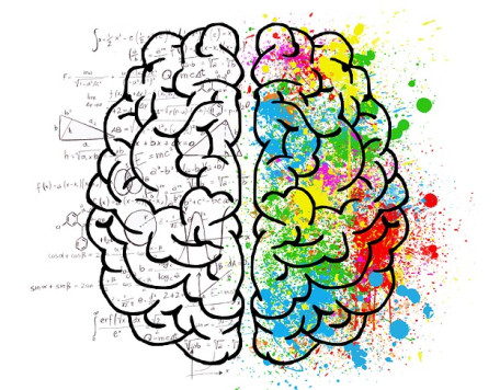 brain 2062057 640 v2